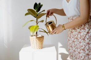 pexels anna nekrashevich 8989415 min